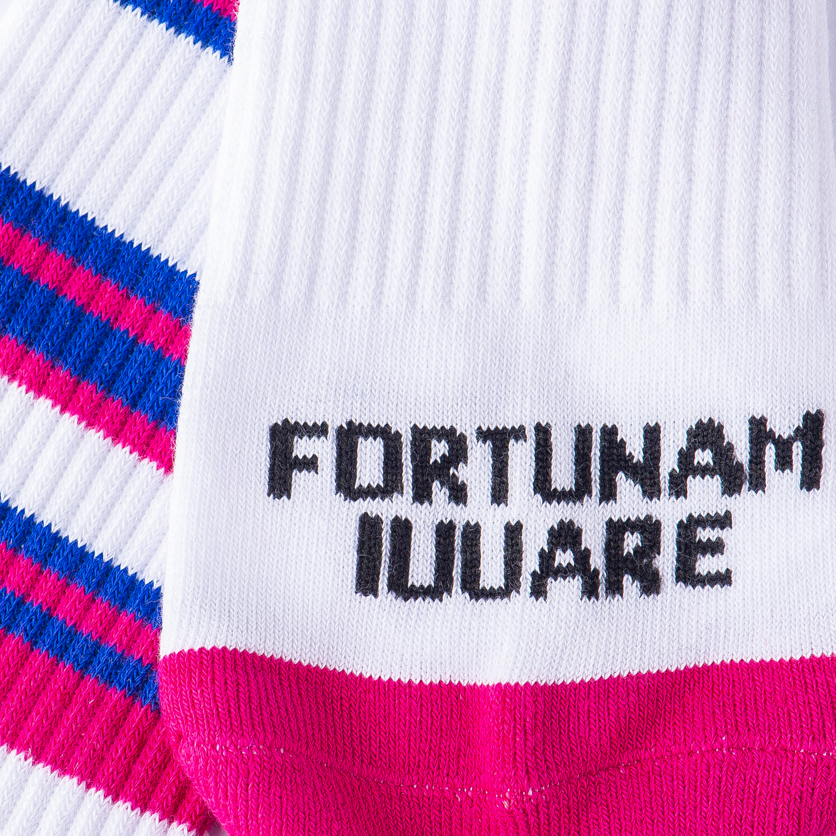 FORTUNAM IUUARE 2